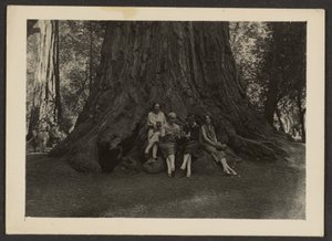  de Louis Fleckenstein