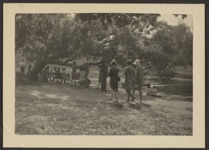 [Grupo no Parque]. de Louis Fleckenstein