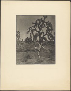 Inspiração da dança