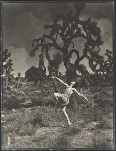  de Louis Fleckenstein