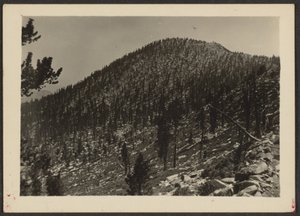 [Jean Peak from Trail] de Louis Fleckenstein