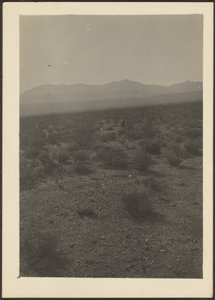 [Paisagem] de Louis Fleckenstein