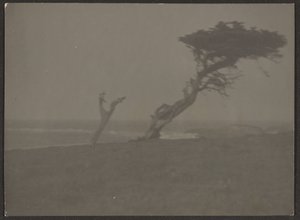 [Paisagem] de Louis Fleckenstein