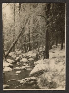 [Paisagem] de Louis Fleckenstein