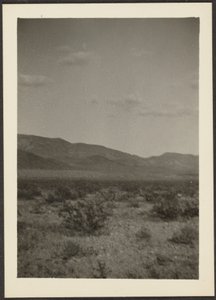 [Paisagem] de Louis Fleckenstein