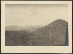 [Paisagem] de Louis Fleckenstein