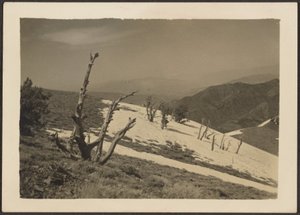 [Paisagem] de Louis Fleckenstein