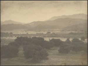 [Paisagem com árvores baixas]. de Louis Fleckenstein