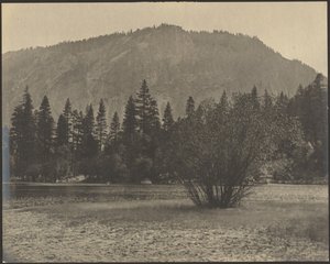 [Paisagem com penhascos rochosos]. de Louis Fleckenstein
