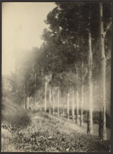  de Louis Fleckenstein