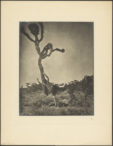  de Louis Fleckenstein