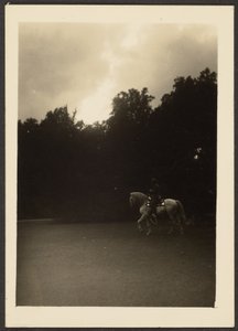 [Homem a cavalo com árvores escuras e céu claro]. de Louis Fleckenstein