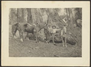 [Homens e cavalos de carga na limpeza de florestas]. de Louis Fleckenstein