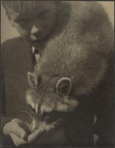[Retrato de um rapaz a dar de comer a um guaxinim] de Louis Fleckenstein