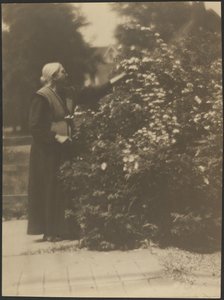 [Retrato de uma mulher a colher flores] de Louis Fleckenstein