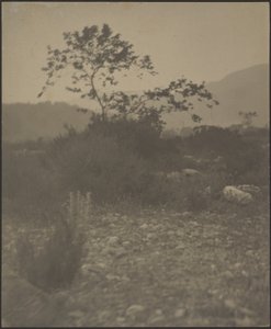 [Paisagem rochosa] de Louis Fleckenstein