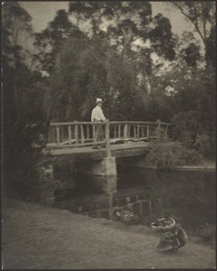 Ponte rústica de Louis Fleckenstein