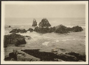 [Paisagem marítima]. de Louis Fleckenstein