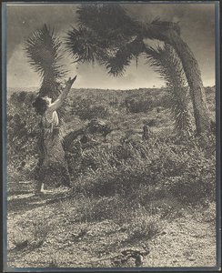 A Bênção de Louis Fleckenstein