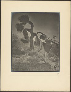  de Louis Fleckenstein