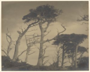 Irmãos gémeos - Carmel de Louis Fleckenstein