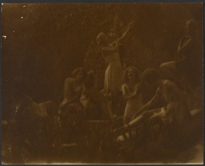 Nenúfares de Louis Fleckenstein