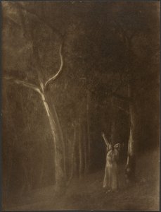 [Mulher a rezar no meio das árvores]. de Louis Fleckenstein