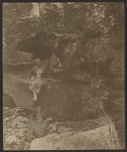  de Louis Fleckenstein