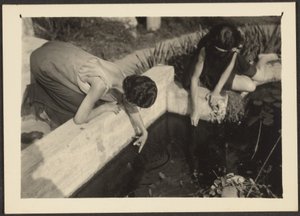 [Mulher junto a um lago de jardim] de Louis Fleckenstein