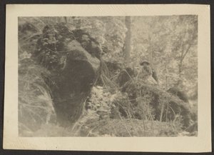 [Mulher sobre rochas no bosque]. de Louis Fleckenstein