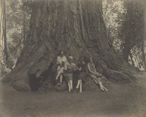 [Mulheres com câmaras na base de uma árvore]. de Louis Fleckenstein