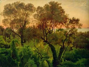 Talude com oliveiras de Louis Gurlitt