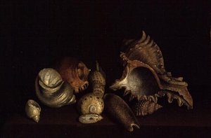 Ainda vida de conchas em um Ledge, do século XVII de Louis Hubner