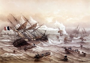 Baleeira na Terra Nova. Pintura por Lebreton. Início do século XIX.