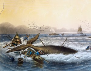 Caça à baleia nos Mares do Sul, litografia colorida de Louis Lebreton (morreu em 1866)