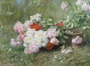 Recém flores cortadas