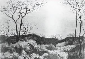 paisagem de Louis Michel Eilshemius