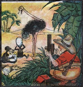 Nestor Fenleroc, colon europeu fotografa um avestruz na África. 1923 (gravura)