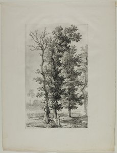 Estudo de Árvores de Louis Pierre Baltard