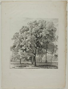 Estudo de Árvores de Louis Pierre Baltard
