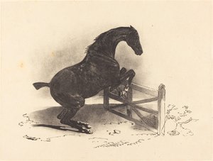 Cavalo pulando uma barreira de Louis Pierre Marie Courtin after Théodore Gericault