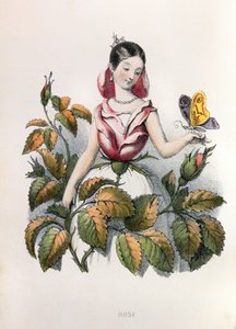  de Louis Simon (1810-1870) Lassalle