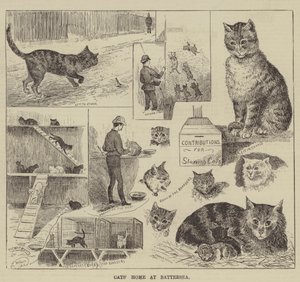 Casa dos gatos em Battersea de Louis Wain