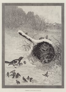 Posse é Nove Pontos da Lei de Louis Wain