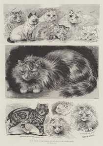 Vencedores do Prêmio no National Cat Club Show no Crystal Palace de Louis Wain