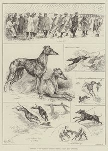 Esboços no Waterloo Coursing Meeting, Altcar, perto de Liverpool (gravura) de Louis Wain
