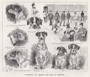 Southdown Fox Terrier Club Show em Brighton (gravura) de Louis Wain