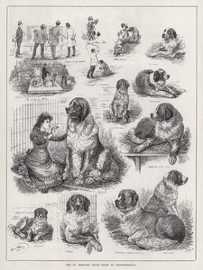 O Show do Clube de São Bernardo em Knightsbridge (gravação) de Louis Wain
