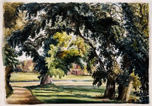 Paisagem de Louisa Ann Neville