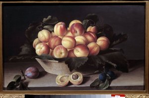 Natureza morta com damascos. Cesta de damascos e ameixas colocadas na frente. Quadro de Louise Moillon